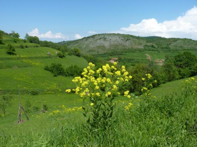 20120519 Czárán emlékút 020